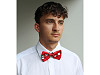 Satin Christmas bow tie