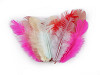 Hen feathers length 8-9 cm