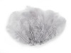 Plumes de coq, longueur 8-9 cm