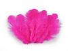 Plumes de coq, longueur 8-9 cm