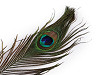 Plumas de pavo real, largo 25-30 cm