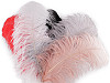 Plumas de avestruz, largo 50-55 cm