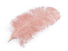 Ostrich feathers length 50-55 cm