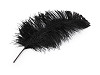 Ostrich feathers length 50-55 cm