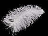 Ostrich feathers length 50-55 cm