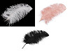 Ostrich feathers length 50-55 cm