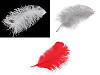 Ostrich feathers length 50-55 cm