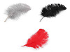 Plumes d’autruche, longueur 50-55 cm