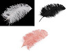 Plumes d’autruche, longueur 50-55 cm