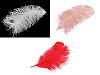 Ostrich feathers length 50-55 cm