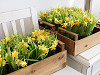 Artificial daffodils in a flower pot