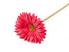 Artificial gerbera long