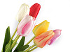 Artificial tulip, long