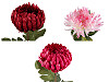 Künstliche Chrysantheme