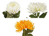 Chrysanthème artificiel