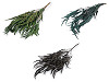 Stabilized eucalyptus bundle