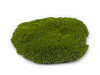Moss cushion for decoration