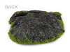Moss cushion for decoration