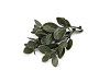 Artificial mini boxwood twig for arranging and creating scents