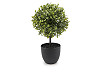 Umělý buxus v květináči