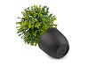 Umělý buxus v květináči