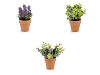 Artificial plant in a pot