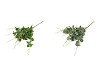 Artificial eucalyptus