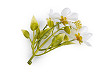 Artificial mini flowers for arranging