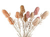 Umělý bodlák