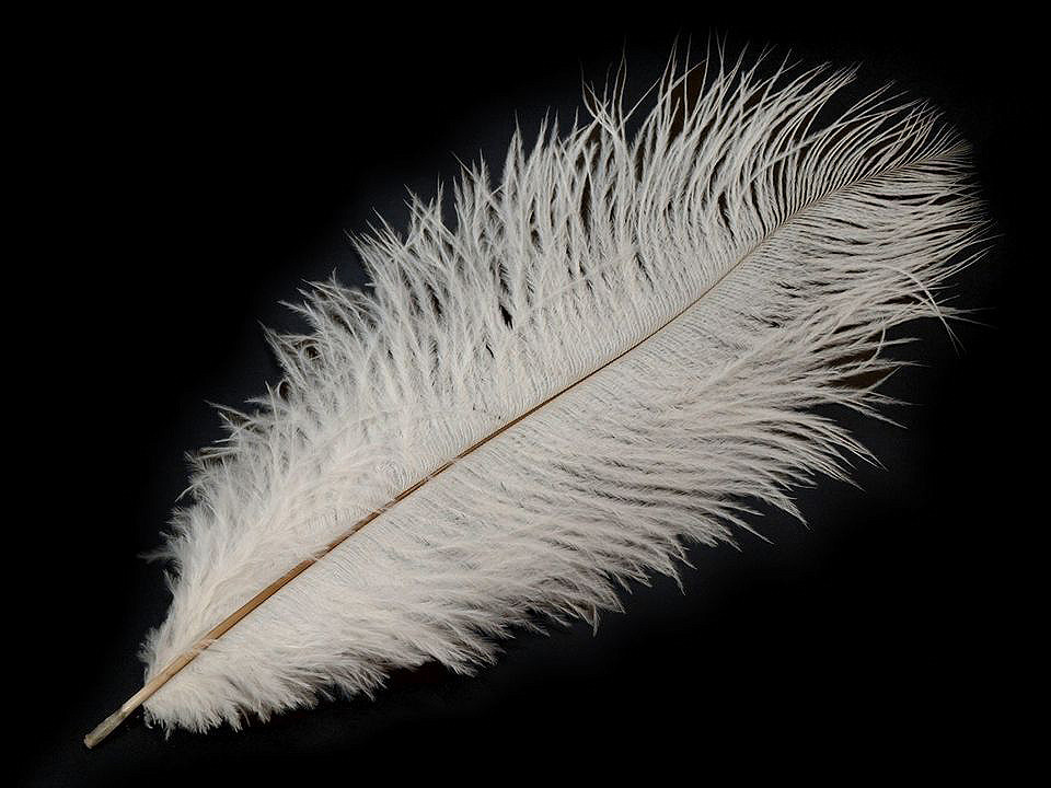 Pštrosie perie dĺžka cca 20-25 cm