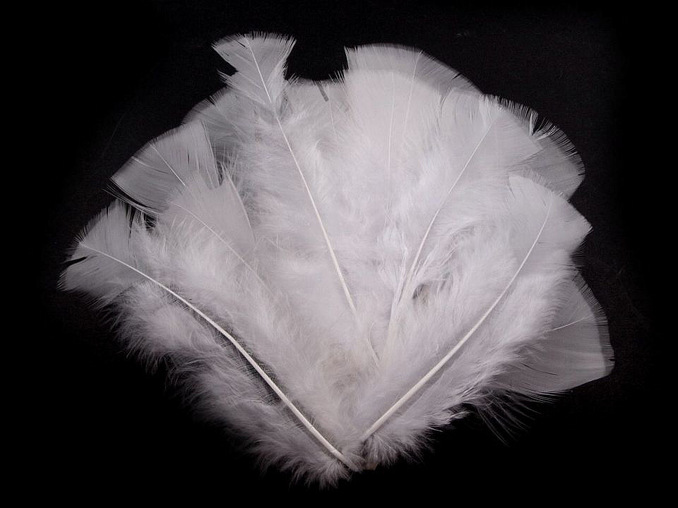 Morčacie perie dĺžka 11-17 cm