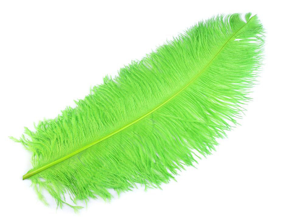 Pštrosie perie 60 cm