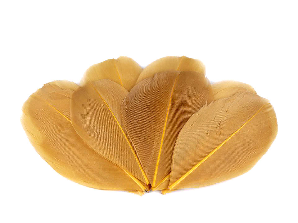 Husí peří délka 5,5-7 cm, malé, 2 starorůžová