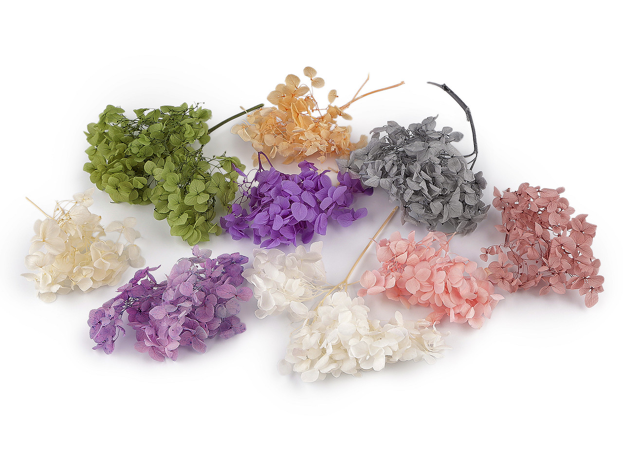 Sušené / stabilizované hortenzie pro suché i mokré aranžování, střední, 5 šedá světlá