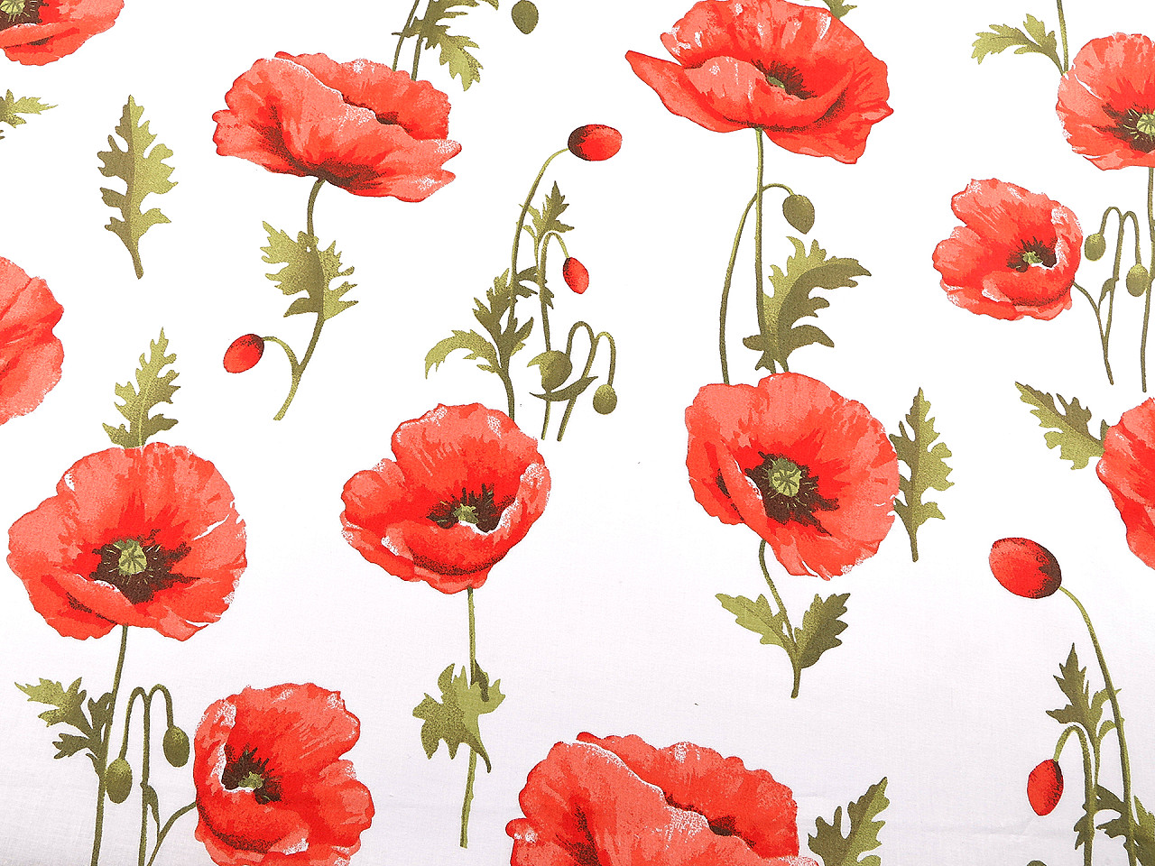 Bavlněná látka / plátno vlčí mák, střední, bílá