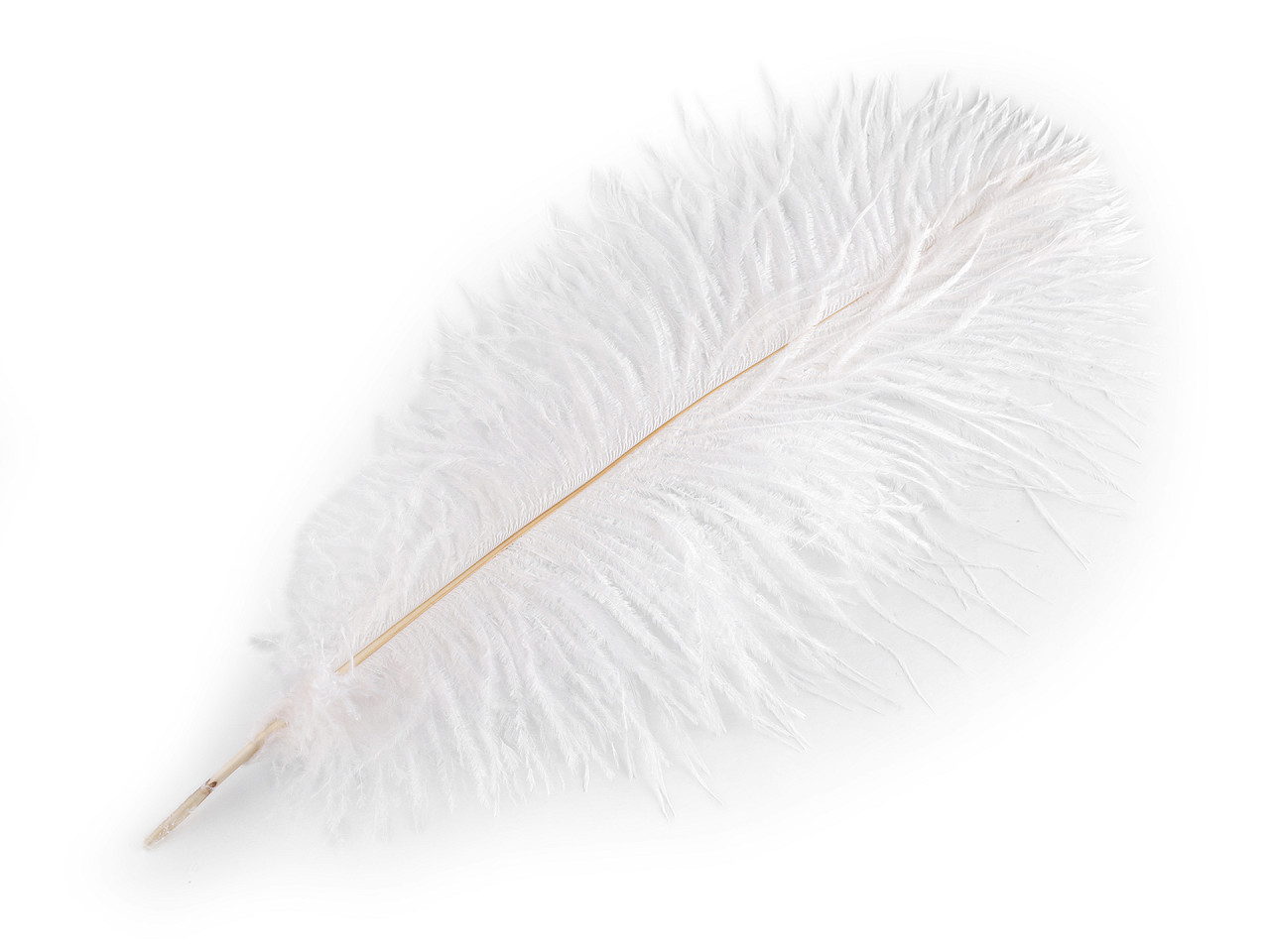 Pštrosie perie dĺžka 40-45 cm nebielené