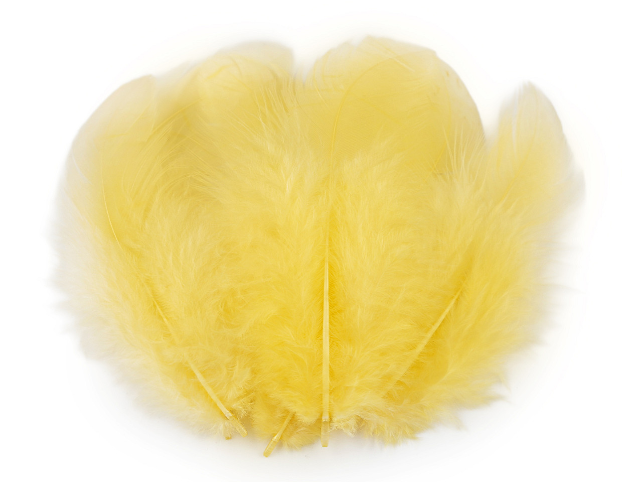 Slepičí peří délka 5-10 cm, střední, 2 zelená sv.