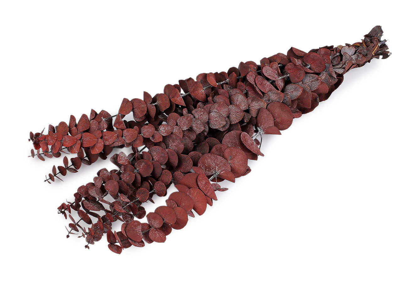 Stabilizovaný eukalyptus svazek, střední, 1 zelená