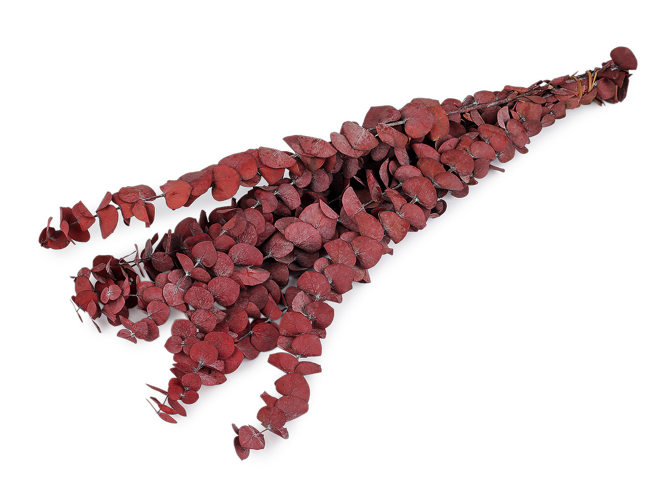 Stabilizovaný eukalyptus svazek, střední, 1 zelená