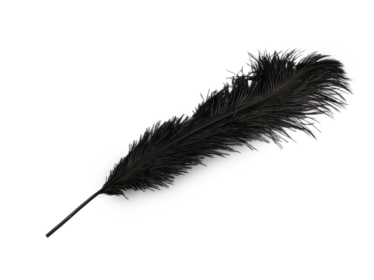 Pštrosí peří délka 53-55 cm, střední, 1 bílá
