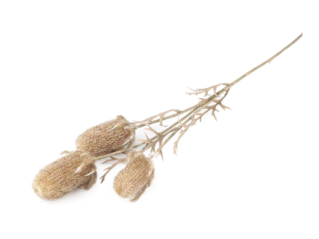 Umělý bodlák, střední, 1 přírodní stř.