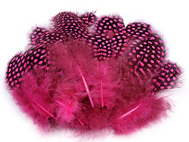 Decorative Hen Feathers length 5-13 cm