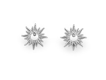 Stainless steel earrings with rhinestones