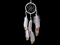Dream Catcher with Feathers and Beads