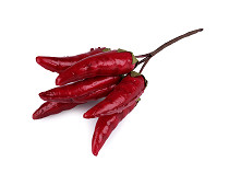 Artificial chili peppers on a wire