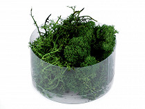 Prepared / stabilized moss 20 g in a box
