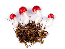 Artificial Toadstools on a Wire with Moss