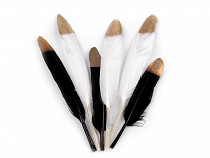 Metallic Feathers, length 10-15 cm