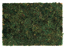 Decorative moss on A4 paper sheet