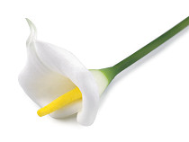 Fleur artificielle de lys Calla
